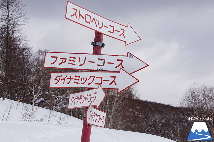 北海道スキー場巡り vol.4 ～比布町ぴっぷスキー場・東川町キャンモアスキービレッジスキー場～